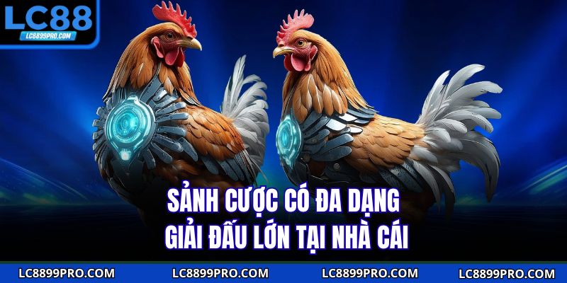 Sảnh cược có đa dạng giải đấu lớn tại nhà cái